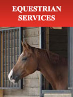 equestrian services